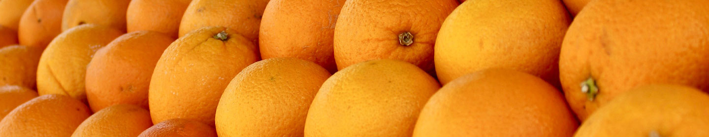 oranges lined up at fruit stand