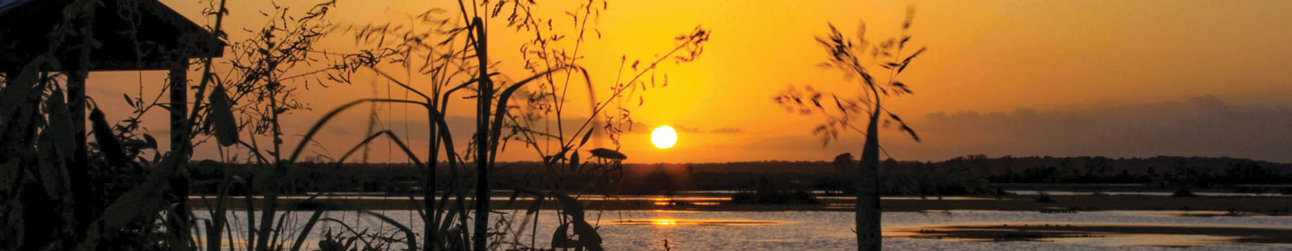 Emeralda Marsh in Lisbon at Sunset