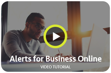 alerts for business online video tutorial image